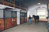 A metal arch building being used as Livestock Metal Buildings with horses inside. 