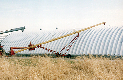 Shows  the Transferring Grain With the top of the ventilator removed, grain transfers into the crop storage building by means of an auger