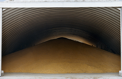 shows Grain being stored inside  the steel building with no supports required at the roof and sides.