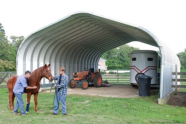A horse standing outside a prefab steel building